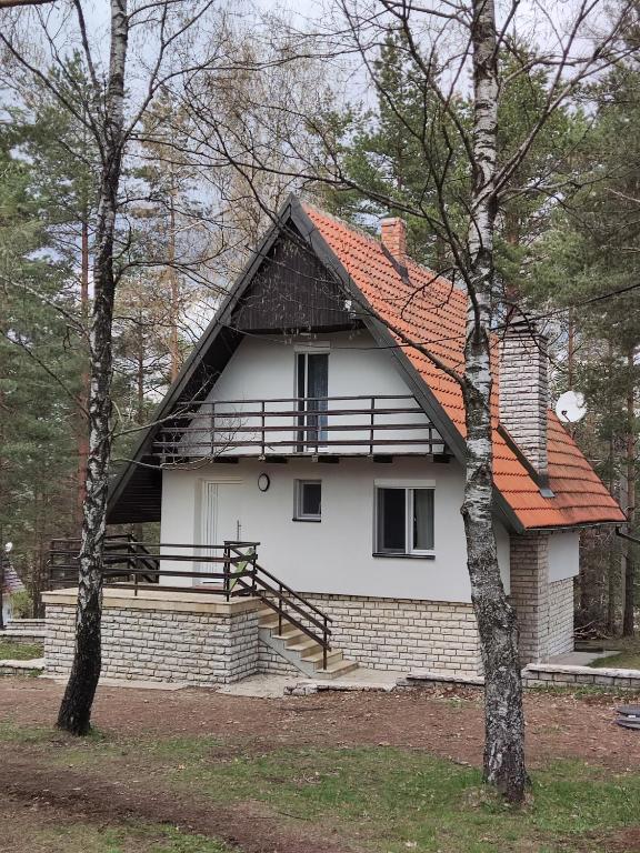 PLANINSKA VILA SMIGIC - 1
