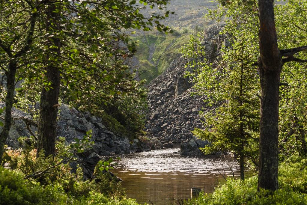 Surrounding environment