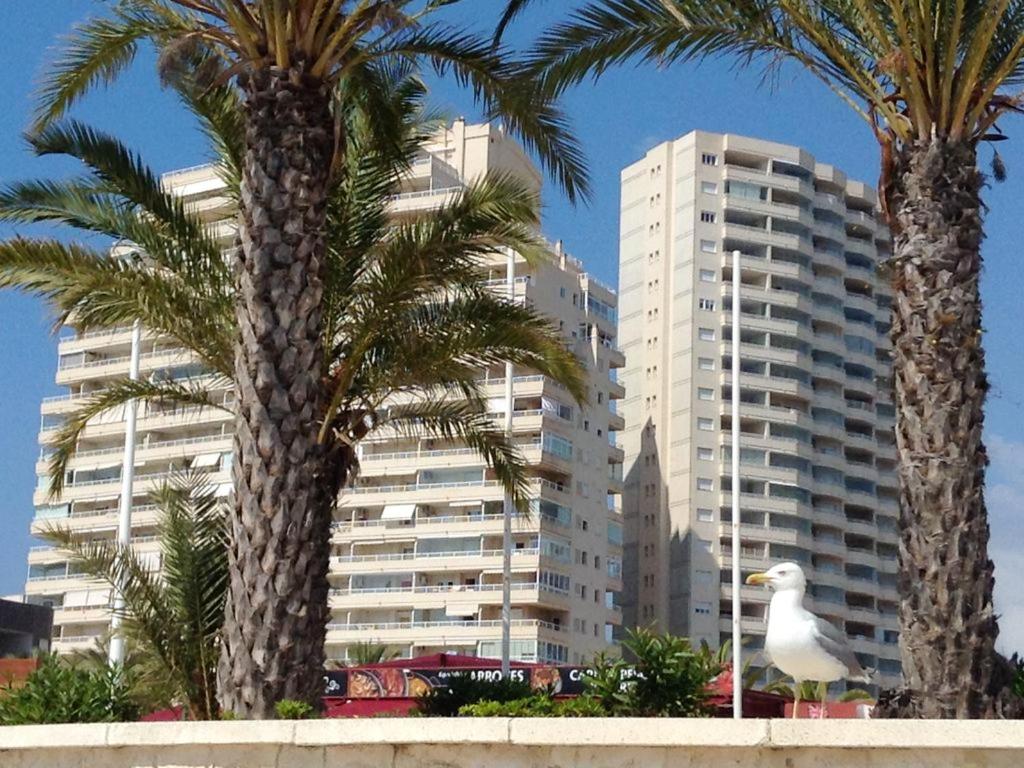 Bright Apartment in Calpe 100m² with Sea View & Pool - 4