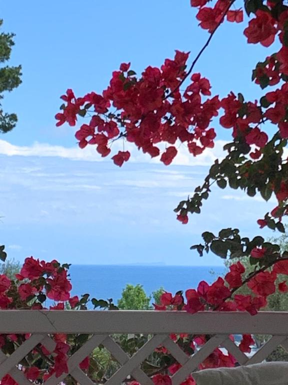 Villa Mare Tra Cielo e Mare photo