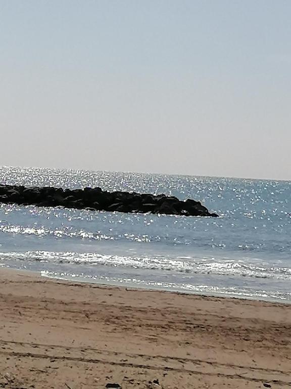 Studio cabine valras plage 300m de la mer - 4