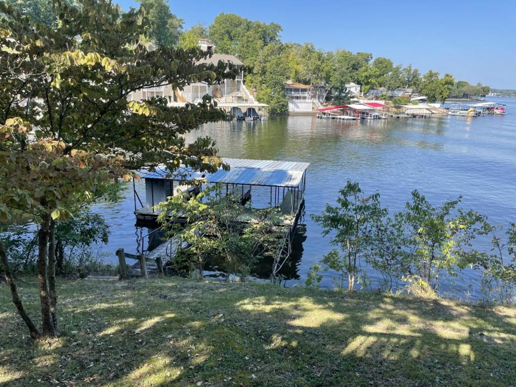 Cozy Lake Cabin Dock boat slip and lily pad