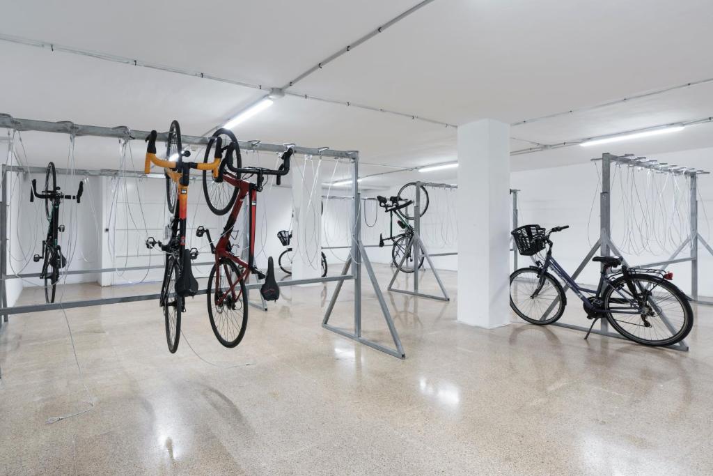 Sport en activiteiten