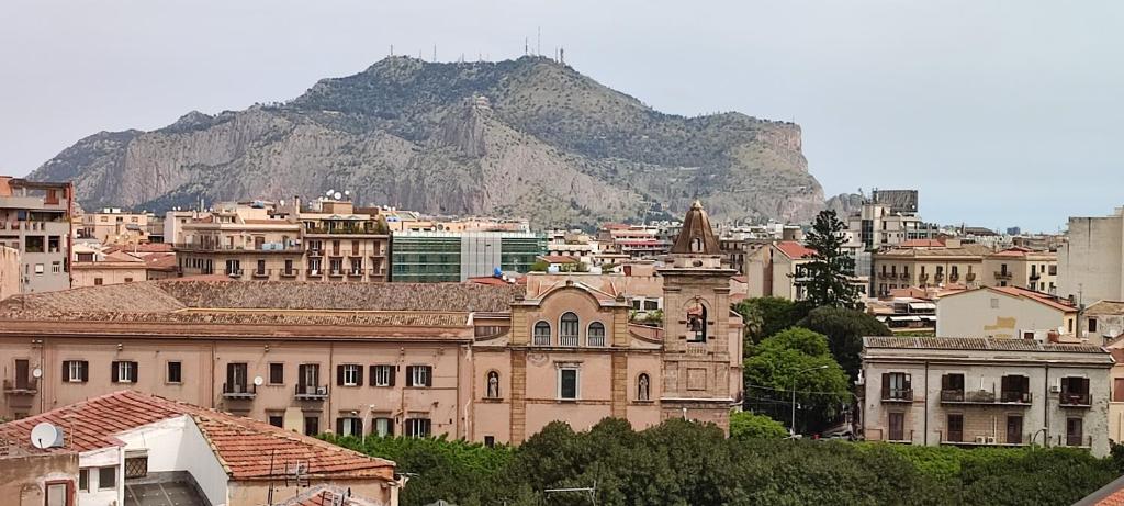 Il gabbiano al Capo, Palerme