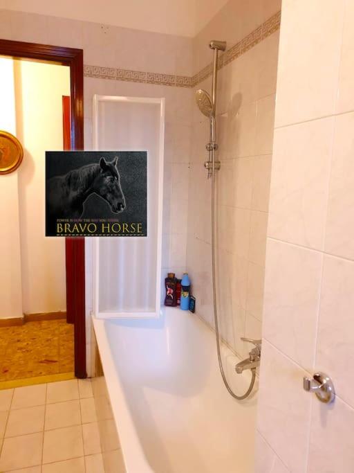 BRAVO HORSE photo