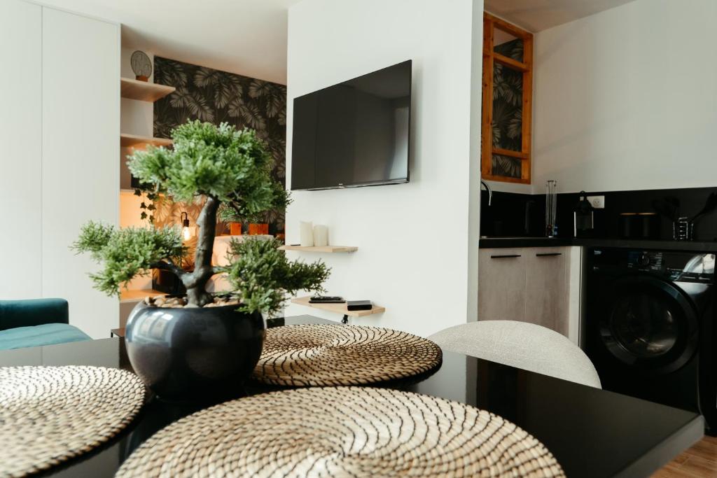 La DOLCE Villetta - appartement de Standing - 2