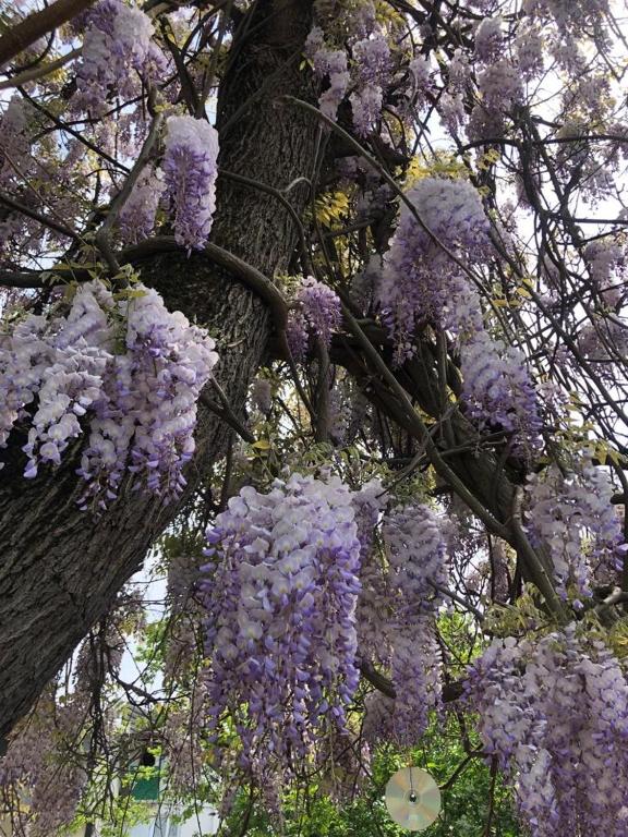 Surrounding environment