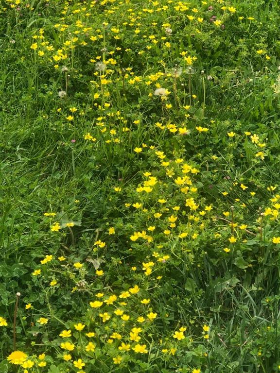 Surrounding environment