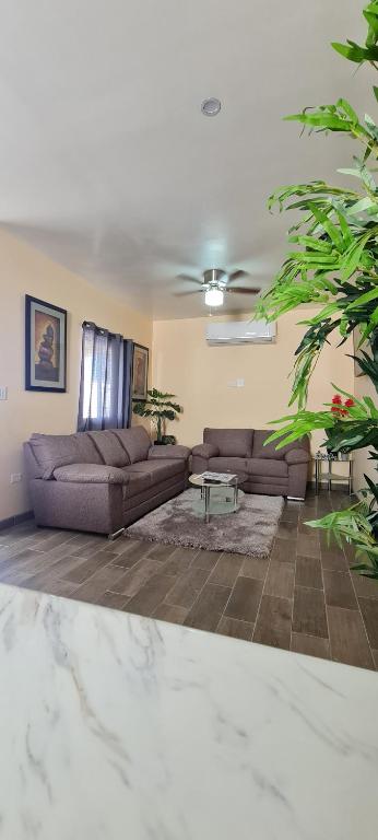 super condo with fiber optic internet, Puerto Peñasco