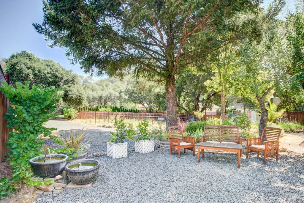 Warm Springs Oasis