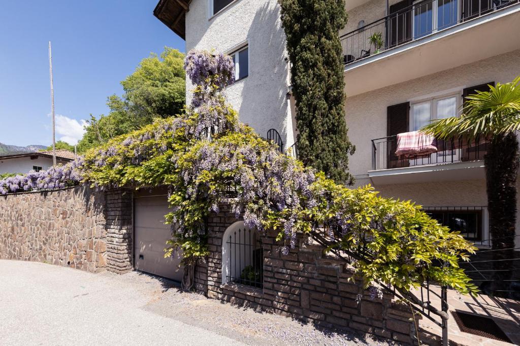 Haus Dorfblick - 3