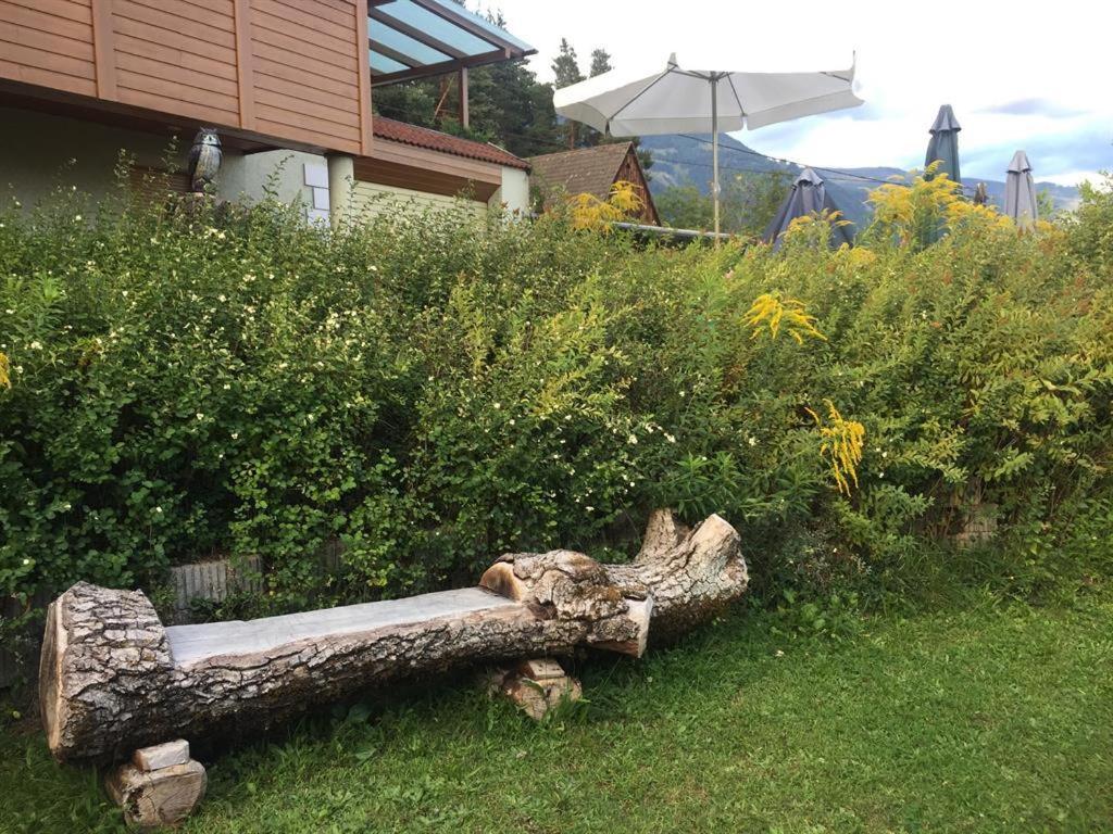 Cottages - Chalets Mag. Scholz - 5