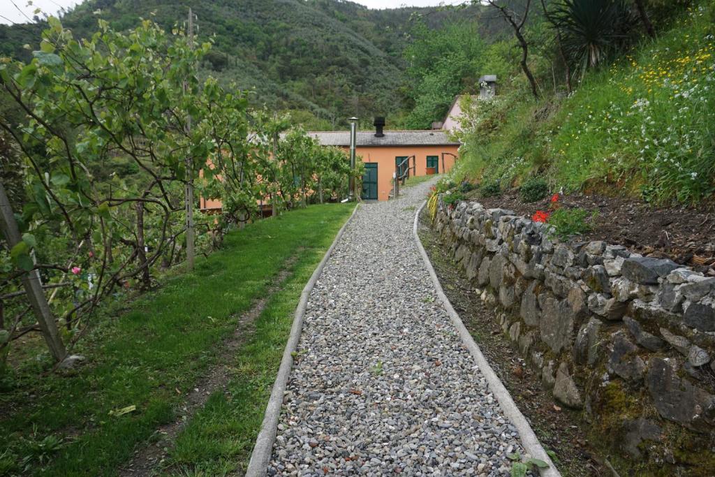 Agriturismo U muinettu - 1