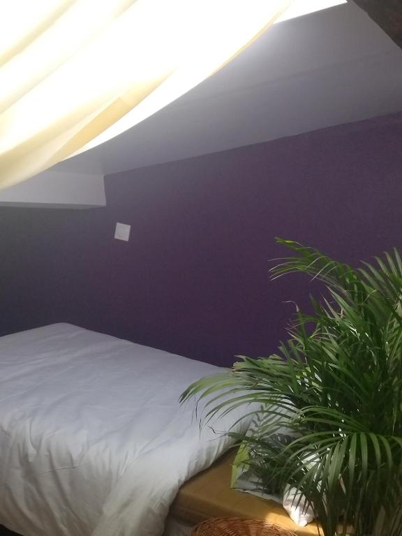 Chambre Serenity photo