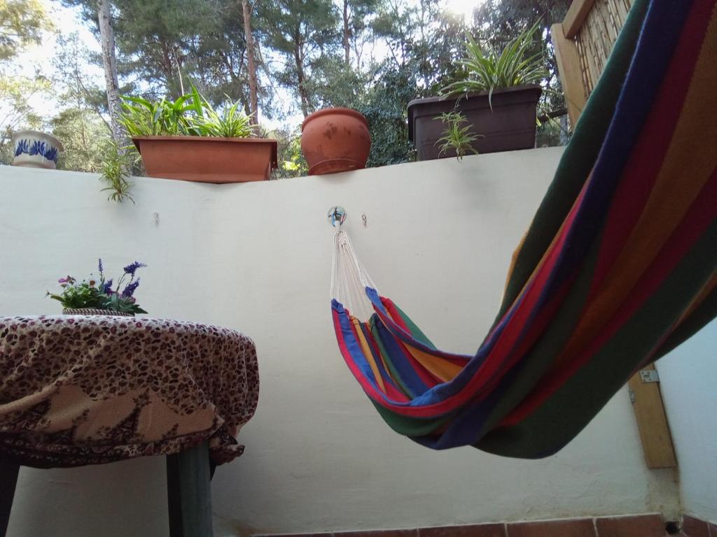 Fabulosa Casa del Árbol - 5