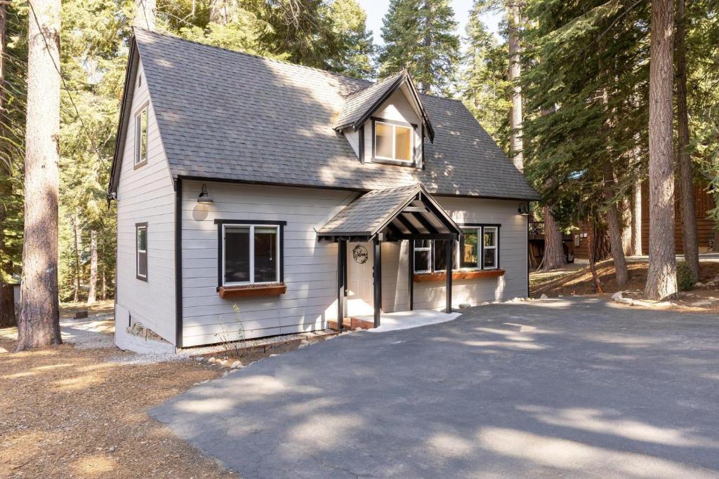 10th Ave - Sweet Pine