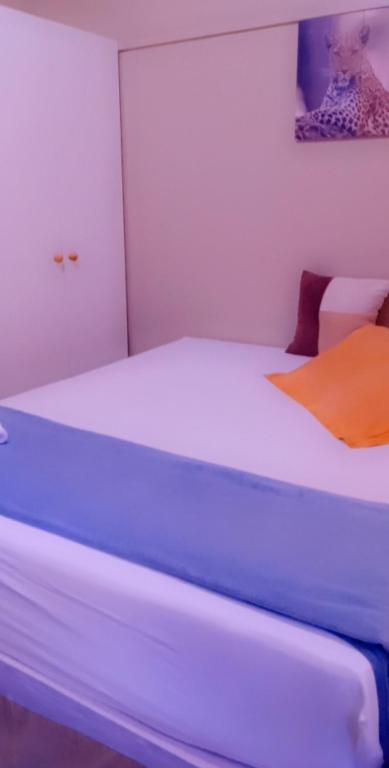 Thully Teams, Nelspruit