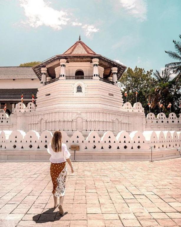 المنطقة المحيطة