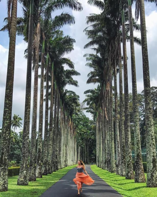 المنطقة المحيطة