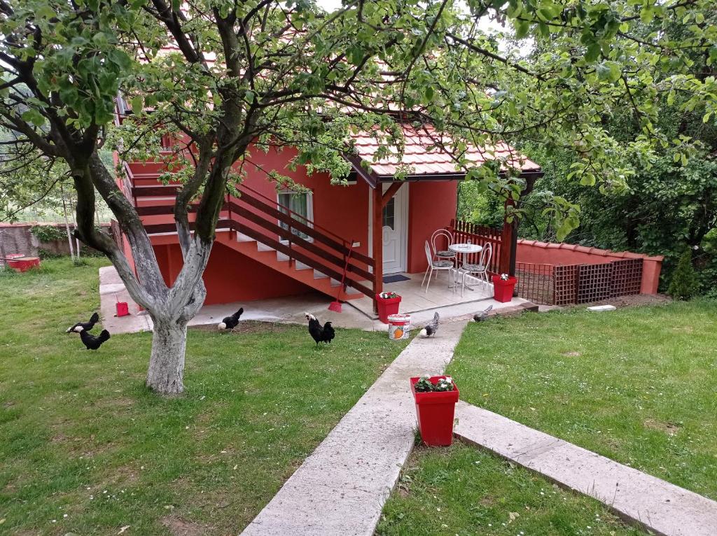 Lazarev konak apartman kucica - 3