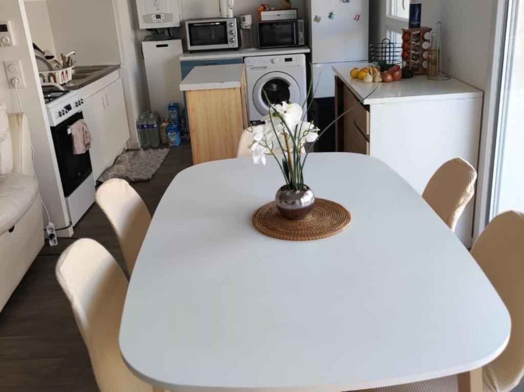 Les Quatre Vents - Chambre d'hote - Cadaujac