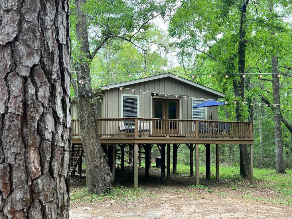 2 BDRM Treehouse Hideout- Lake Conroe with Boat ramp, Montgomery