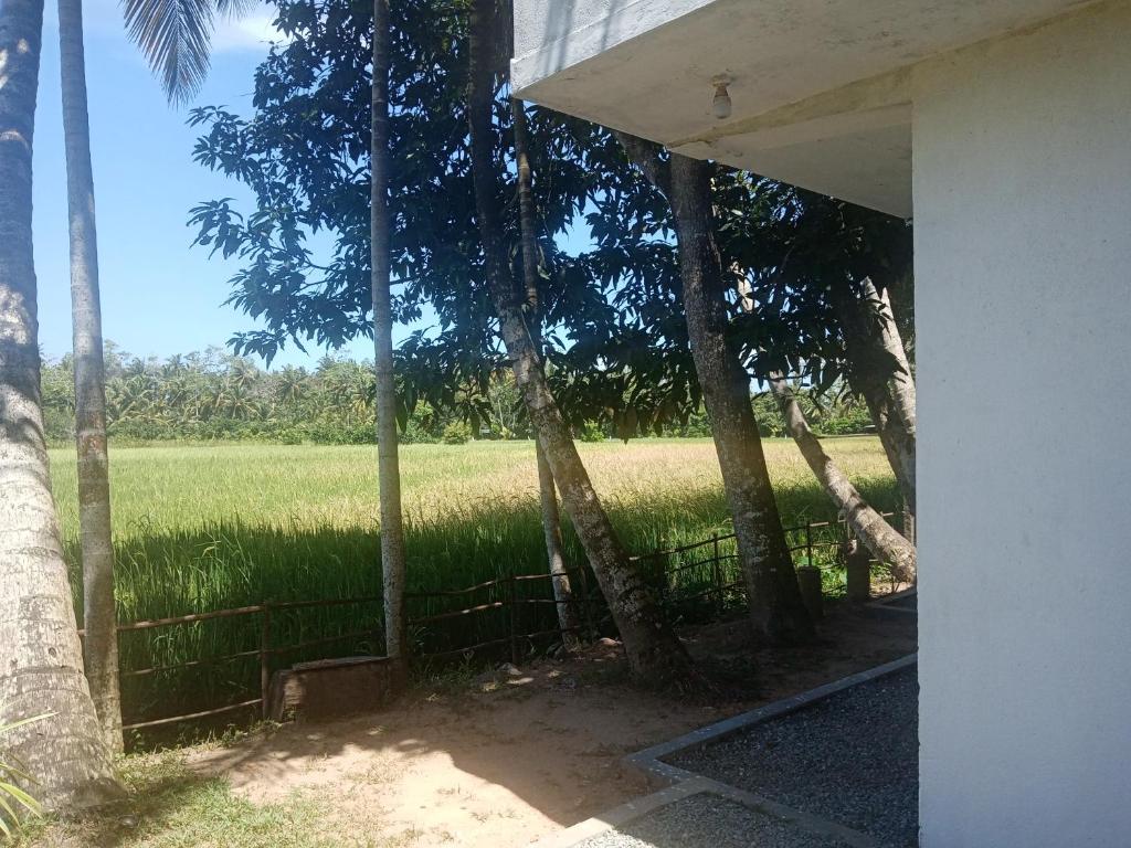 Thalduwa Pavilion photo