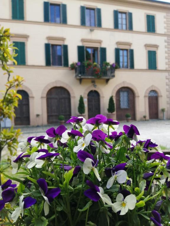 Villa Sant’Andrea - 5