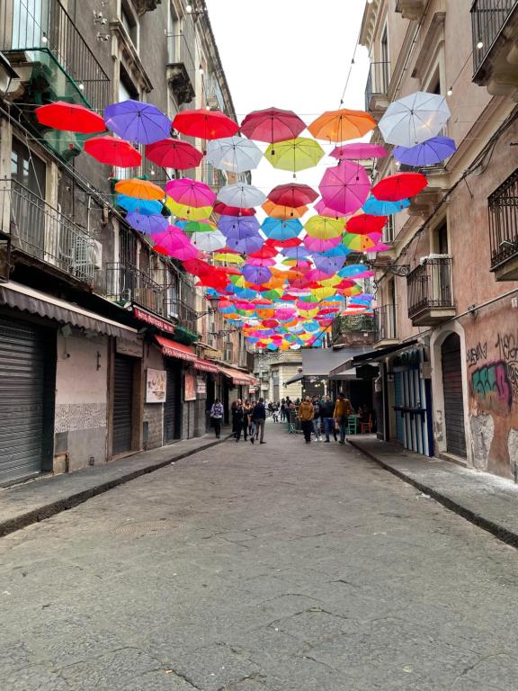 Surrounding environment