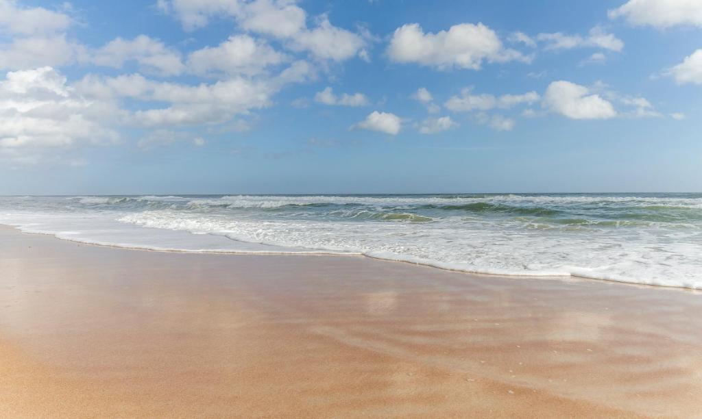 Ocean Village Club G26, 2 Bedrooms, Heated Pool, Sleeps 5, New Remodeled, Lanai photo