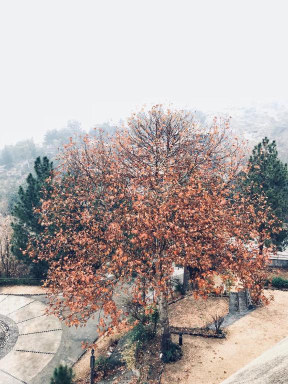 Rock City Resort photo