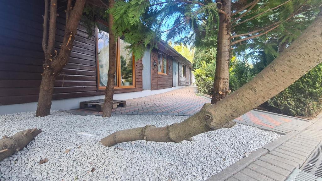 Gdańsk pokoje, Gdaňsk