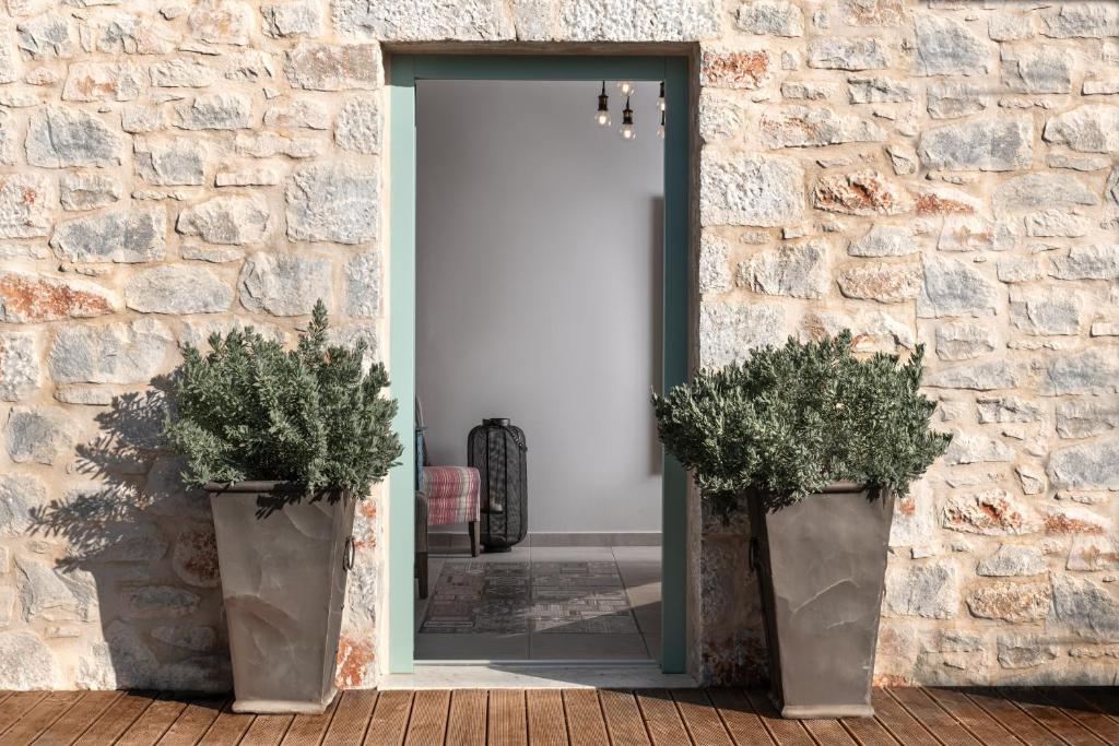 The Olive Yard photo