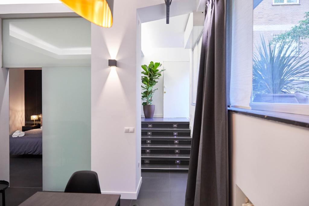 LOFT PRINCIPE PIO - 5