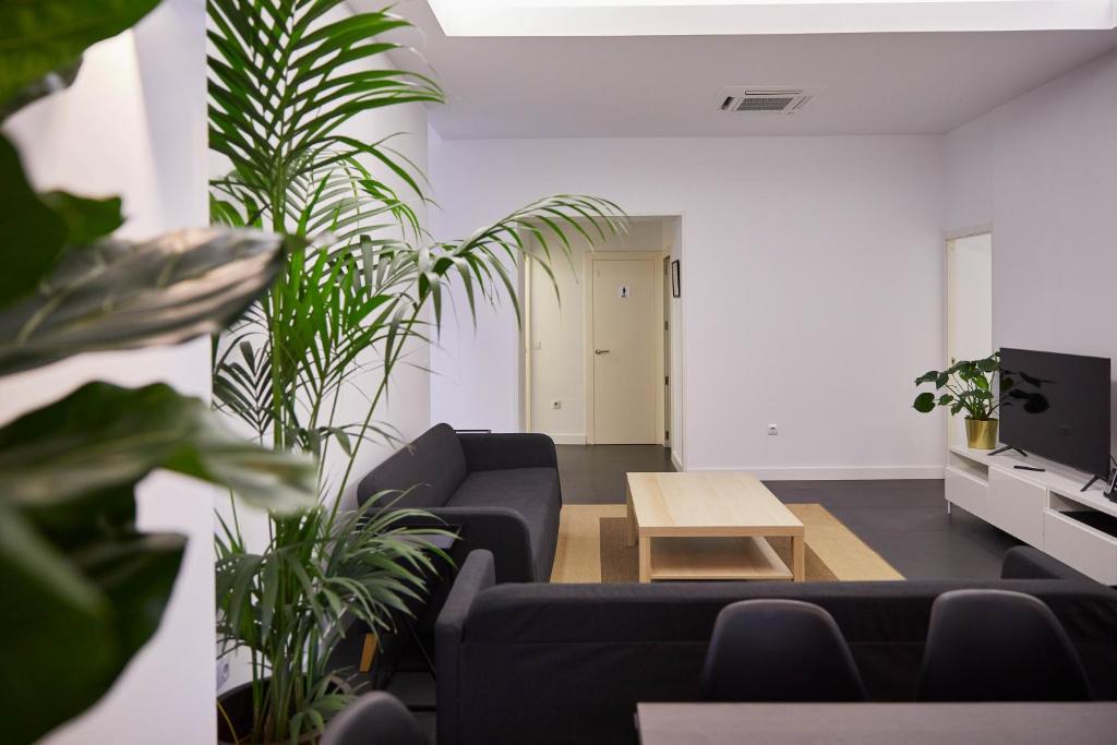 LOFT PRINCIPE PIO - 3