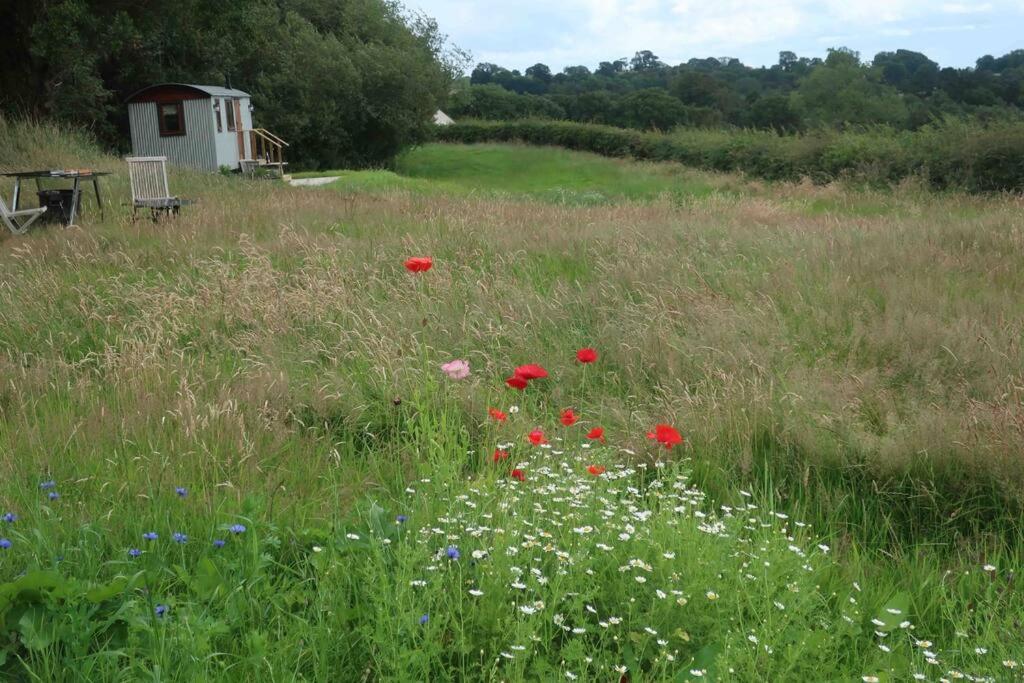 Little Idyll shepherds hut, Chester