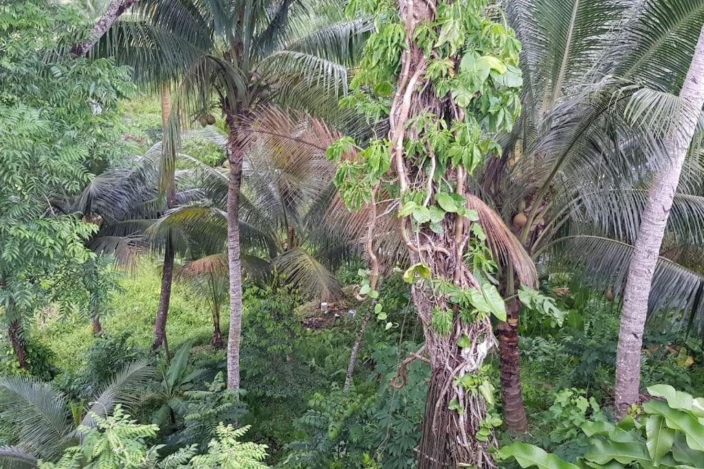 Hill Bottom Accommodation, Suva