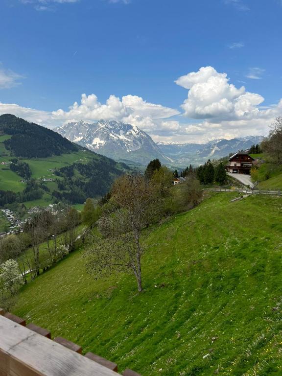 Gemütliches Häuschen "Bergblick Hollnhof" lädt zum verweilen ein - 4