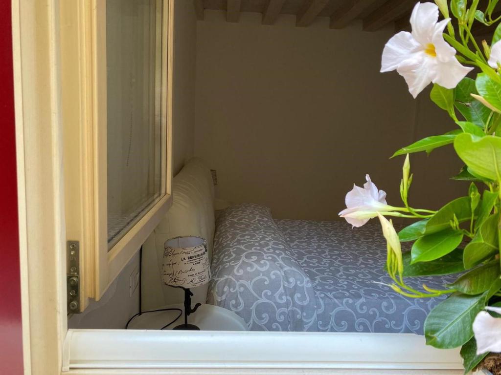 Ca' Contadin, Chioggia