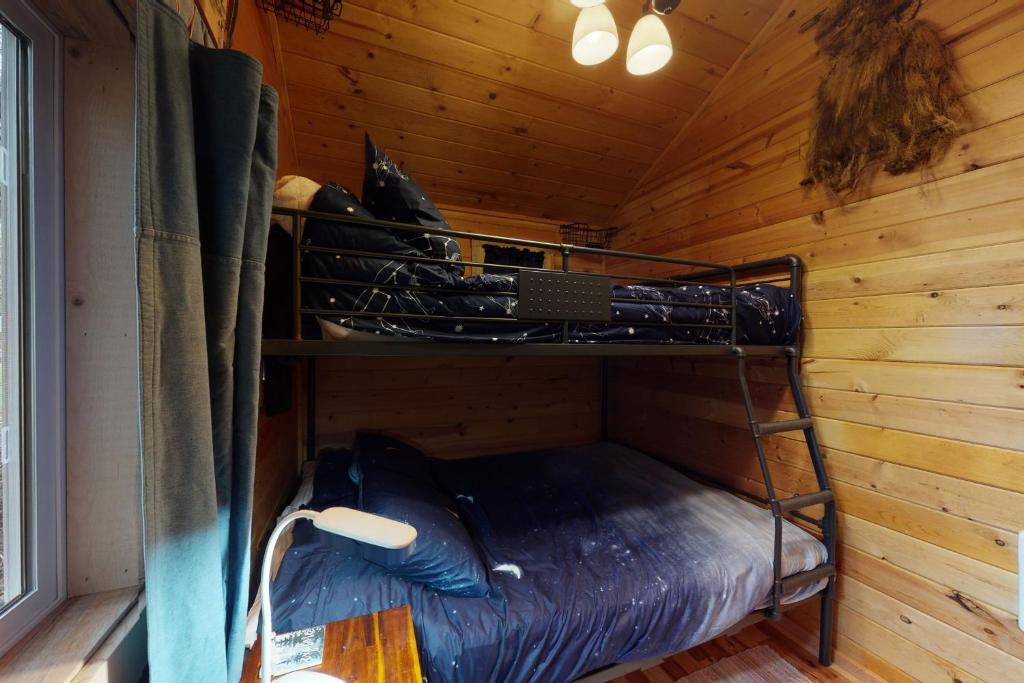 Ice Creek Hollow Wood Den at Wallowa Lake photo
