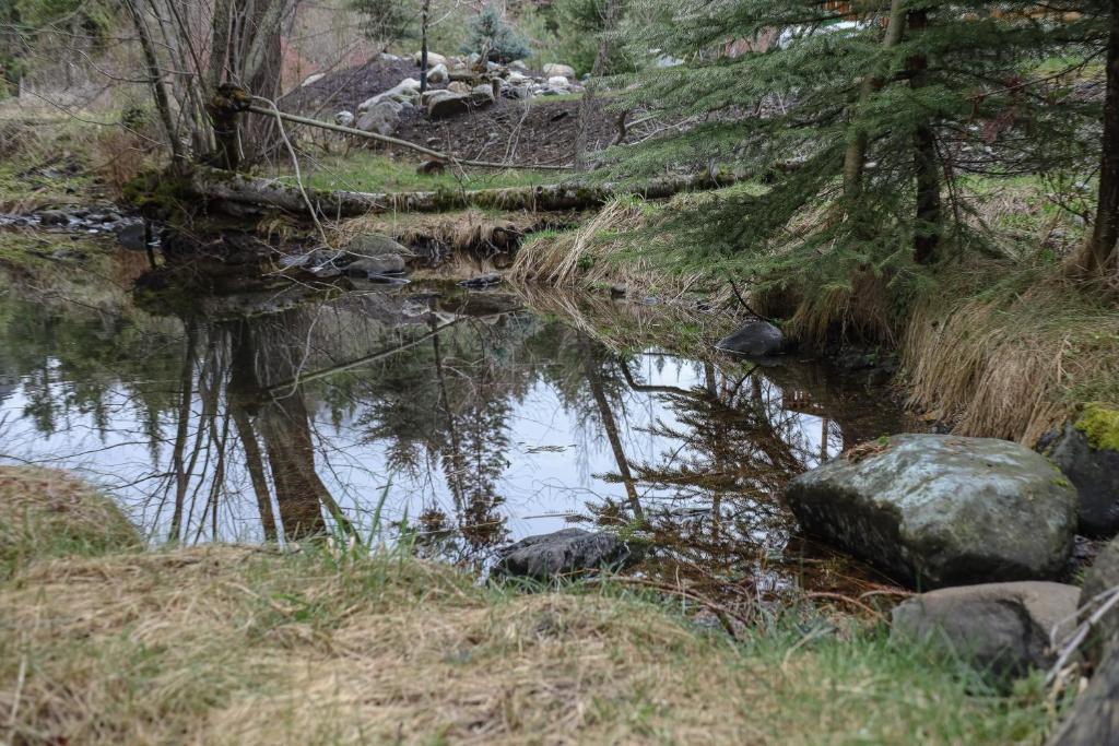 Ice Creek Hollow Wood Den at Wallowa Lake photo