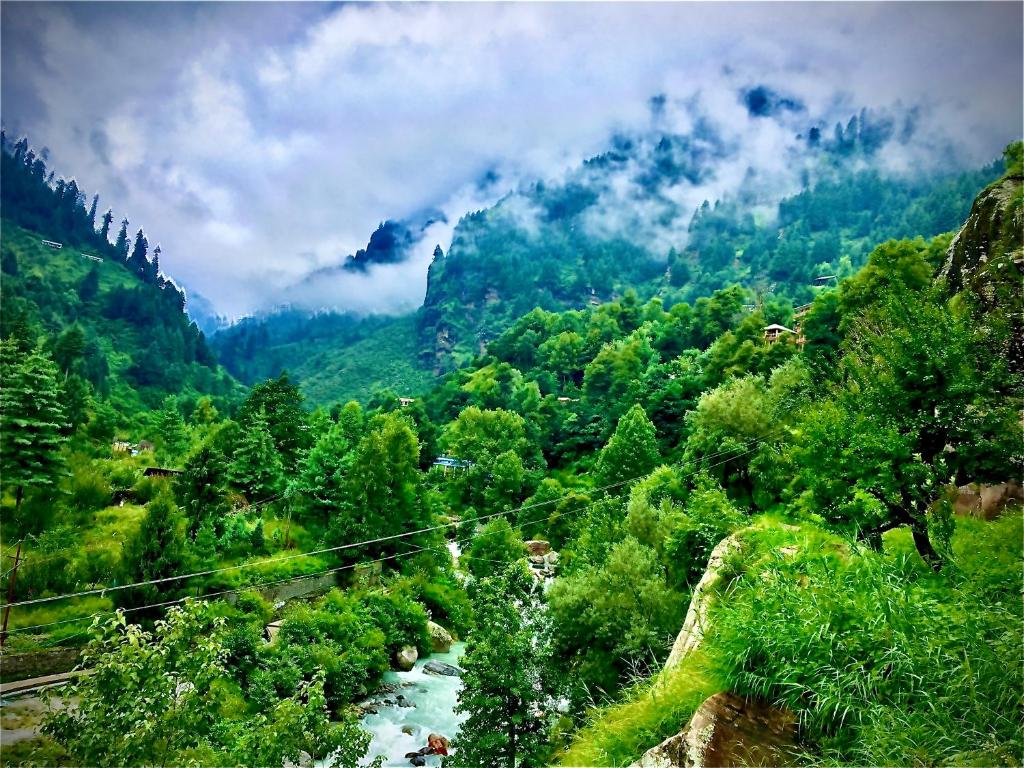 Rockway Hostel — Hotel in Manali