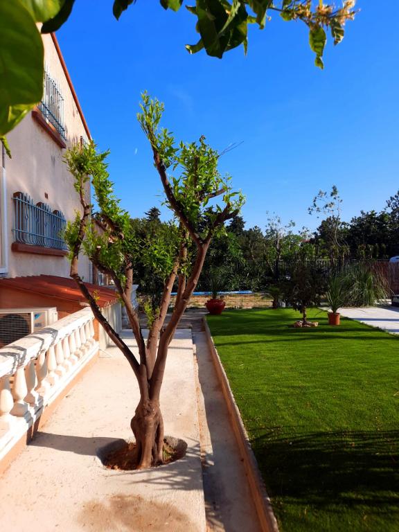 Domaine des Pins 전경