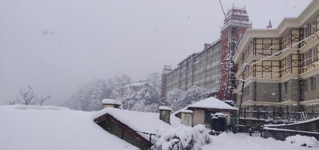 The Thistle Lodge 전경