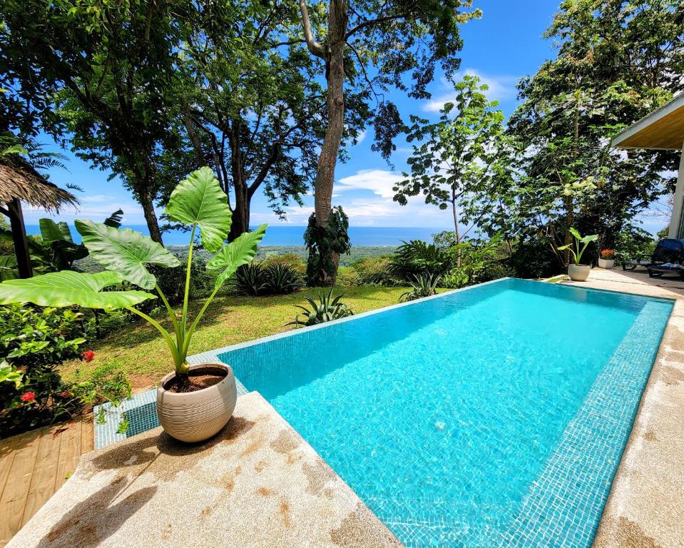 Charlies Beach House in Matapalo, Costa Rica reviews, prices of Hotels