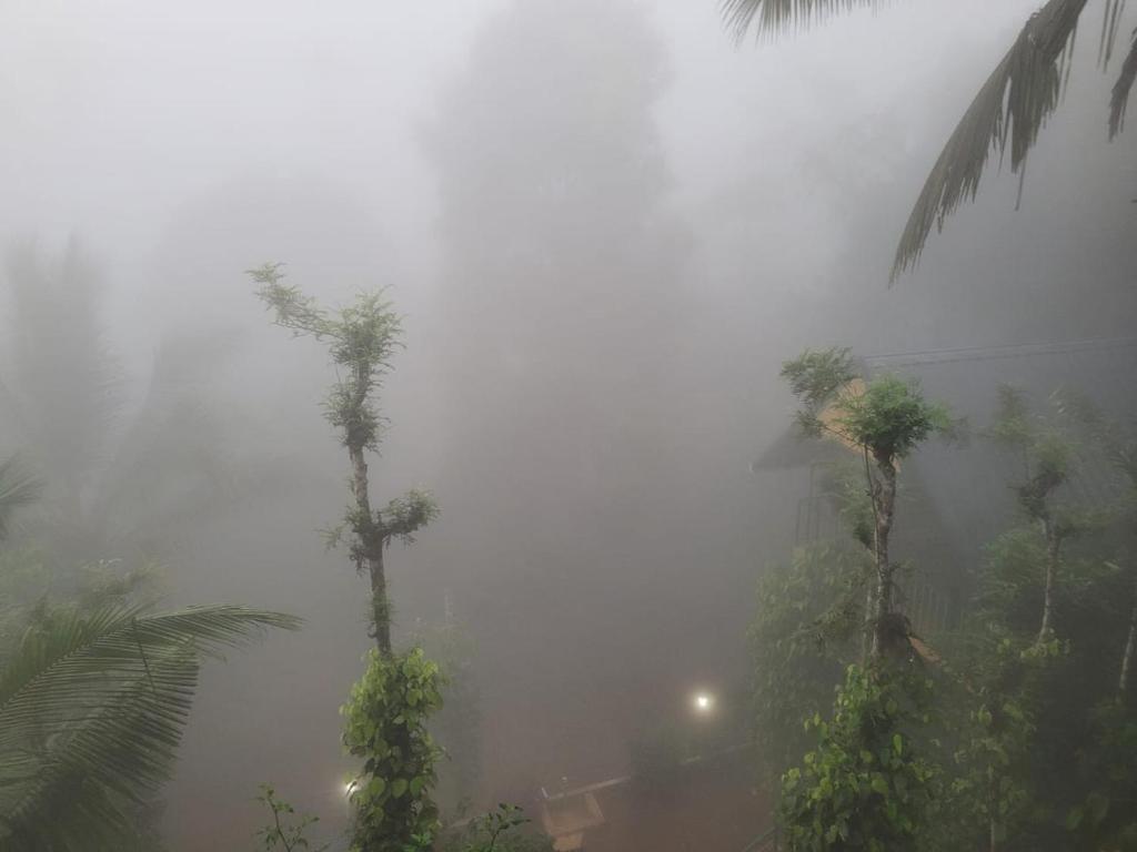 Mistvalley Hut photo