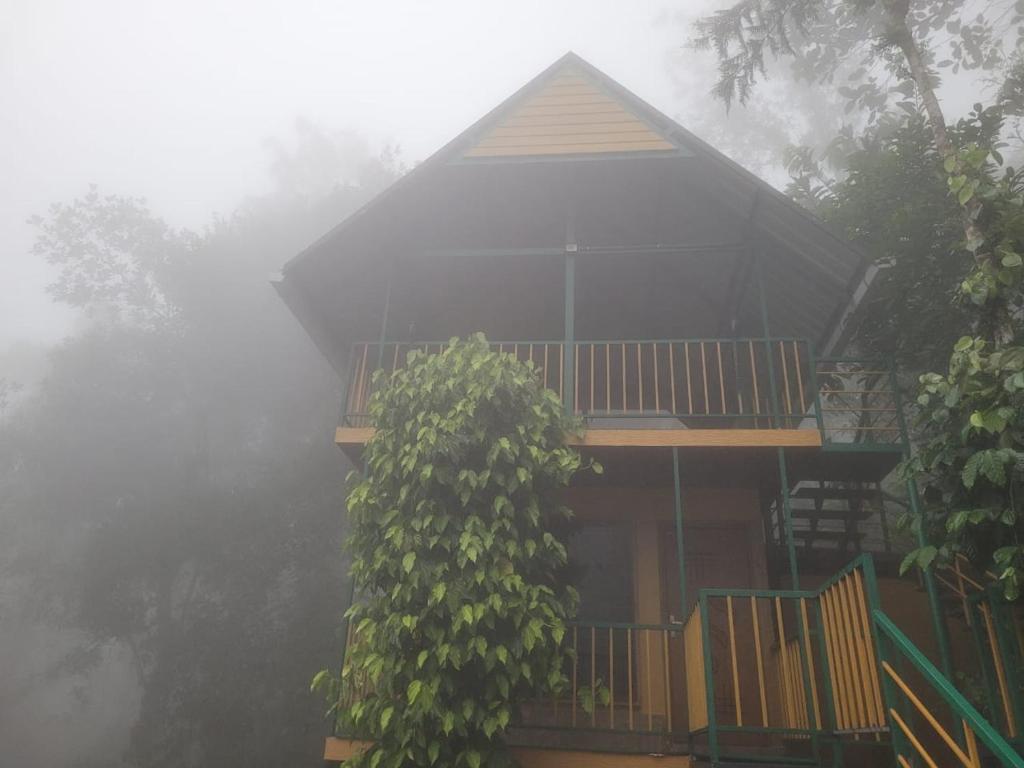Mistvalley Hut photo