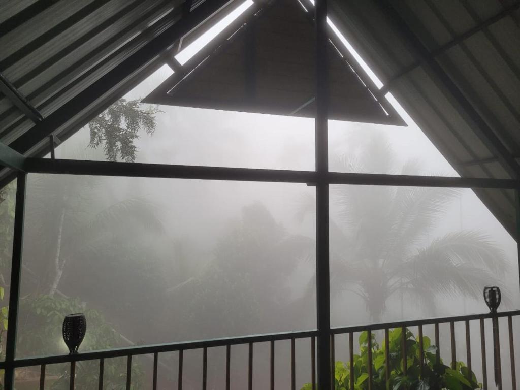 Mistvalley Hut photo