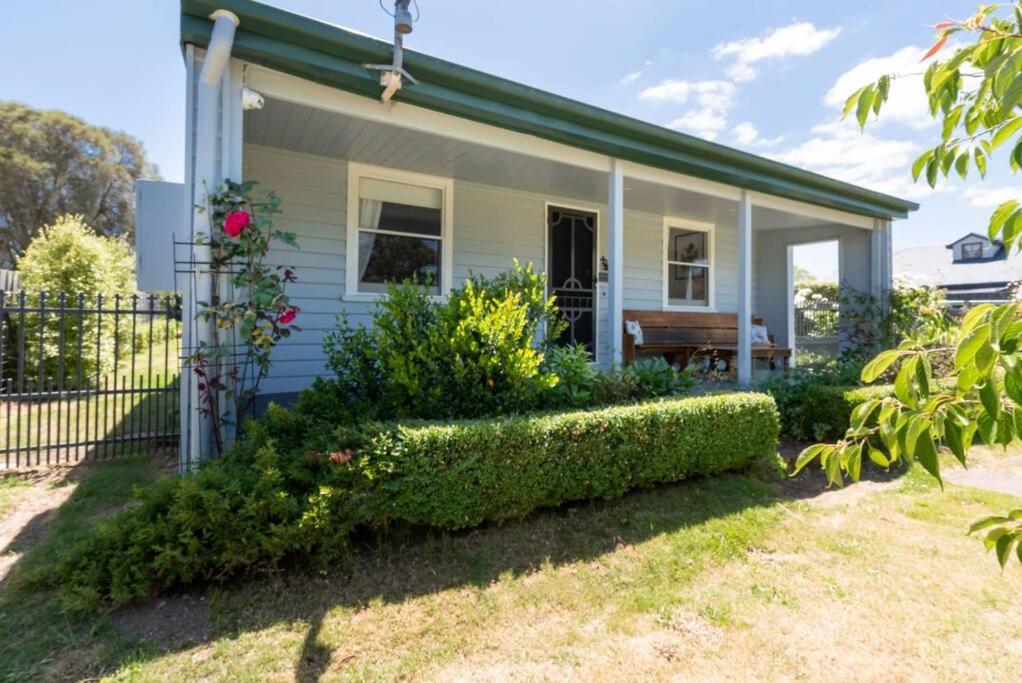 Cute As A Button in Charming Evandale