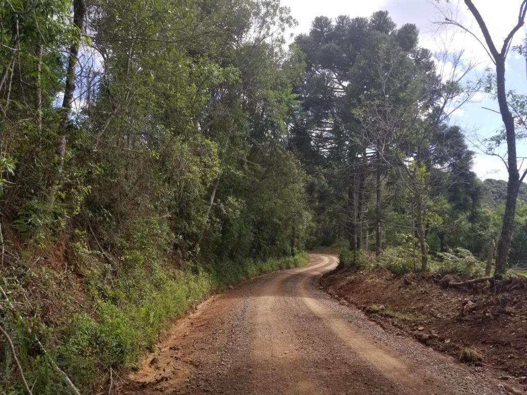 Surrounding environment